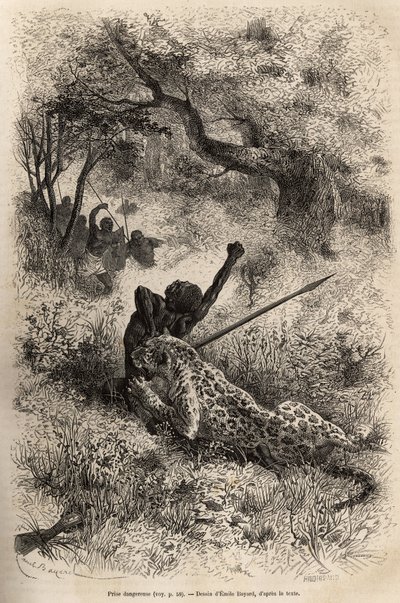 Un leopardo salta sobre un hombre y lo muerde cruelmente en la espalda, en las cercanías de Bambare (Congo), grabado según un dibujo de Emile Bayard, ilustrando el último diario de David Livingstone (1813-1873), en 1866-1873, publicado en 