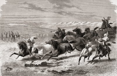 Gauchos argentinos reuniendo caballos salvajes, ilustración de 