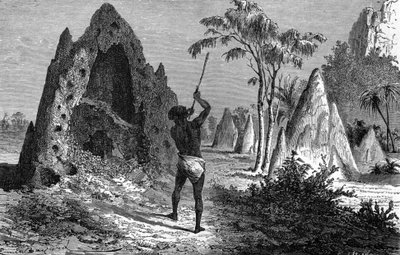 Aldea de termitas guerreras (termitiere), África. Grabado 1897 de Emile Antoine Bayard