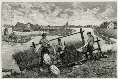 El óxido del lino (maceración para facilitar la separación de la corteza del tallo) en el Lys (río del norte de Francia y Bélgica). Grabado por Emile Claus, para ilustrar la historia “” La Belgique””, por Camille Lemonnier (1844-1913), escritor y crítico d de Emile Claus