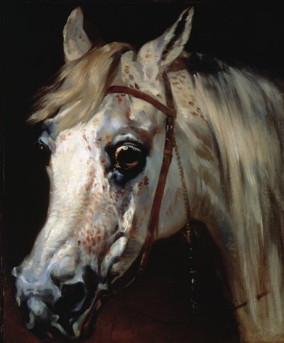 Cabeza de un caballo árabe, c.1840-50 de Emile Jean Horace Vernet