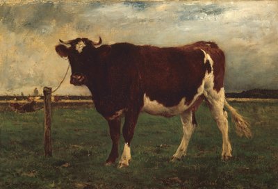 Estudio de una vaca de Emile van Marcke de Lummen
