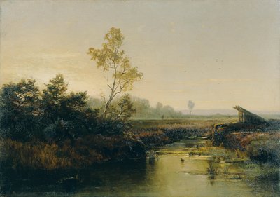Moorlandschaft de Emilie Mediz Pelikan