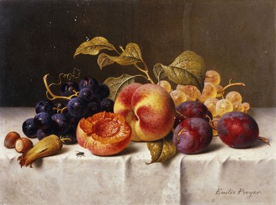 Uvas, duraznos, ciruelas y nueces en una mesa con mantel de Emilie Preyer