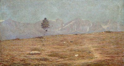 La planta de Emilio Longoni
