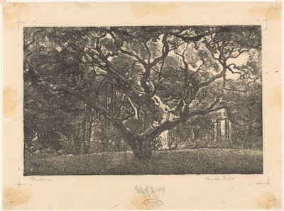 Bos en Bergen de Emilius Wilhelmus Dehé (signed by artist)