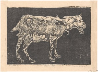 Cabra de Emilius Wilhelmus Dehé (signed by artist)