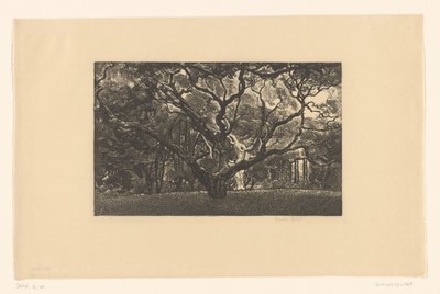 Árbol viejo de Emilius Wilhelmus Dehé (signed by artist)