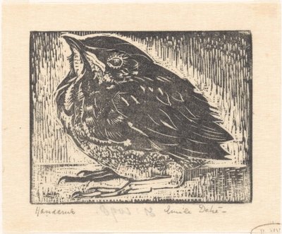Birdboy de Emilius Wilhelmus Dehé (signed by artist)