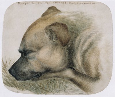 Guardián - del natural, 1838 de Emily Bronte