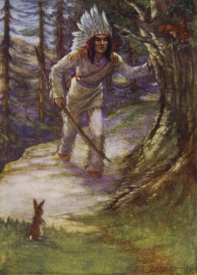 No nos dispares, Hiawatha de Emily Farmer