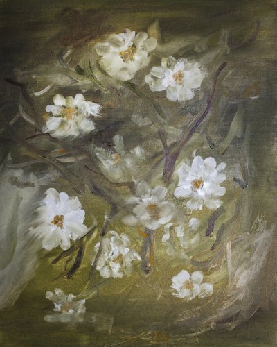 Suaves flores blancas de Emily Tingey