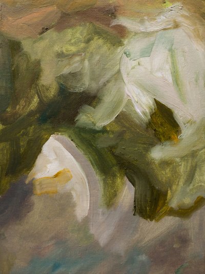 Pétalos blancos y suaves de Emily Tingey
