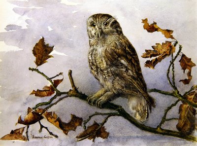 Un Búho de Emma Cooper