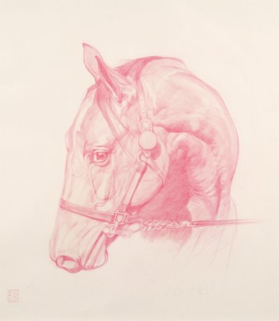 Cabeza de retrato, 2010 de Emma Kennaway