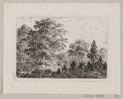 Paisaje forestal de Emma Meyer