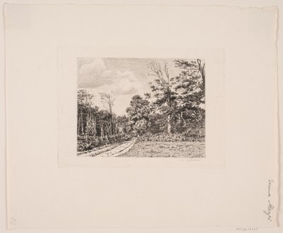 Paisaje forestal de Emma Meyer