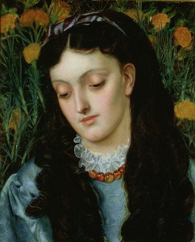 La bella alhelí de Emma Sandys