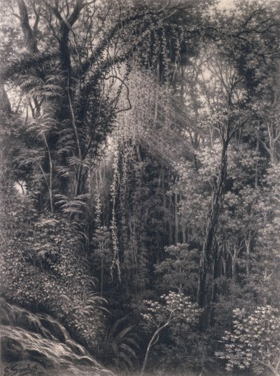 Vista del Desfiladero sobre Apia, Upolu, Samoa Occidental, 1877 de Emma Sandys