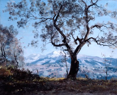 El área alrededor de Menton, cerca de Roquebrune, 1892 de Emmanuel Lansyer