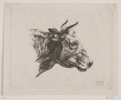 Una cabeza de vaca de Emmerik Høegh Guldberg