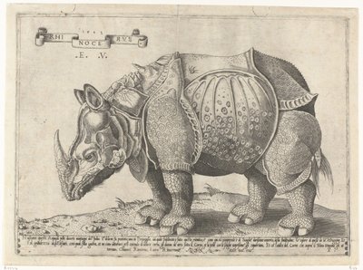 Rhinocerus
Rhinocerus (título del objeto) de Enea Vico