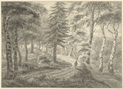 Vista del bosque de Engelbert Michaël Engelberts