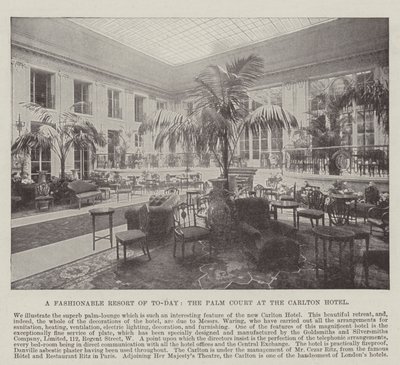 Un resort de moda de hoy, el Palm Court en el Carlton Hotel de English Photographer