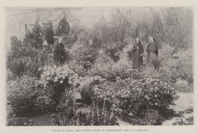 Un Refugio de Paz, el Jardín del Convento en Bloemfontein, usado como Hospital de English Photographer
