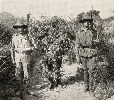 Un francotirador turco, disfrazado de arbusto, bajo custodia tras ser capturado por tropas ANZAC, de 