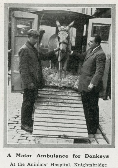 Una ambulancia motorizada para burros de English Photographer
