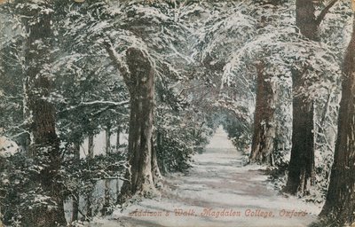 Addisons Walk, Magdalen College, Oxford de English Photographer