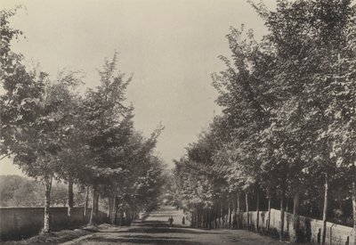 Aldeburgh, Westfields Avenue de English Photographer