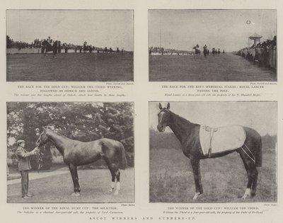 Ganadores y Finalistas de Ascot de English Photographer