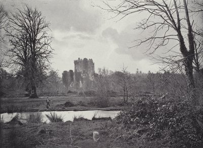 Castillo de Blarney de English Photographer