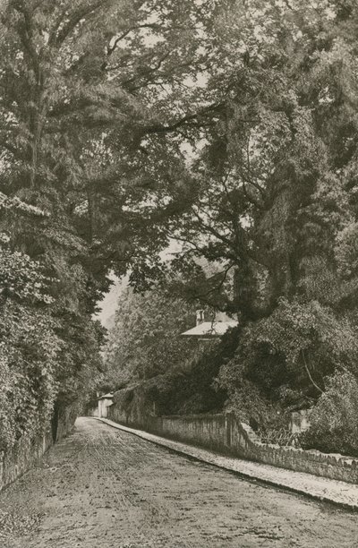 Camino de Bonchurch, Isla de Wight de English Photographer