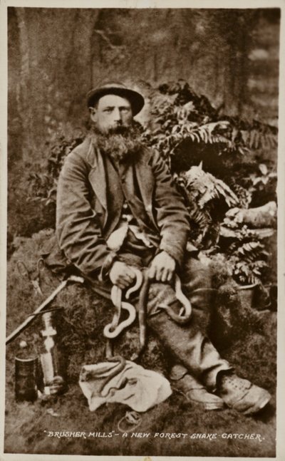 Brusher Mills, un cazador de serpientes del Nuevo Bosque de English Photographer