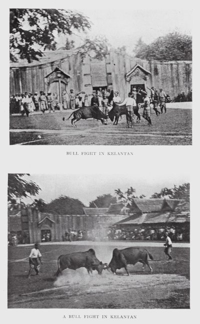 Corrida de toros en Kelantan de English Photographer