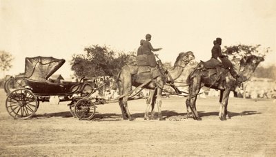 Carro de Camellos, c.1860 de English Photographer