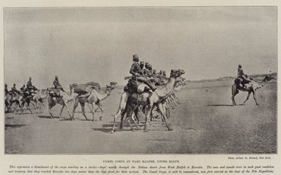 Cuerpo de camellos en Wadi Halfeh, Alto Egipto de English Photographer