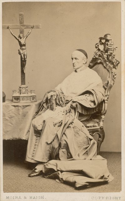 Cardenal Manning de English Photographer