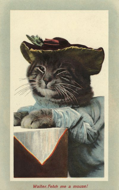 Gato con Sombrero de English Photographer