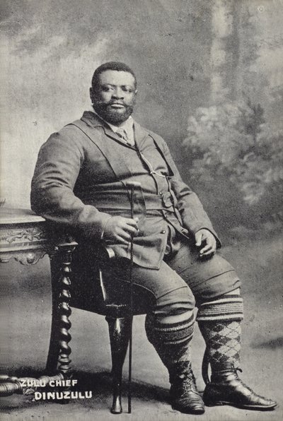 Cetshwayo kaMpande, Rey de la nación Zulú de English Photographer