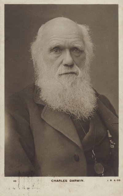 Charles Darwin (1809-1882), naturalista inglés de English Photographer