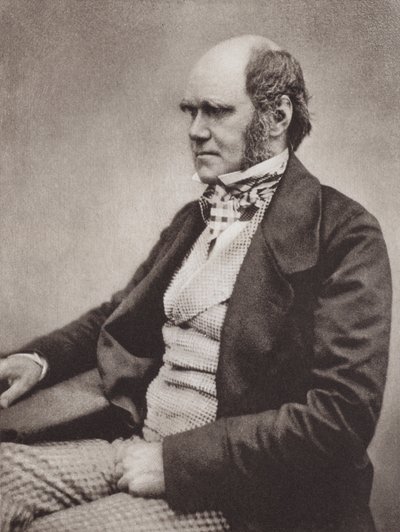 Charles Darwin, retrato, c 1854, a partir de una fotografía de Maull  Fox (foto b/n) de English Photographer