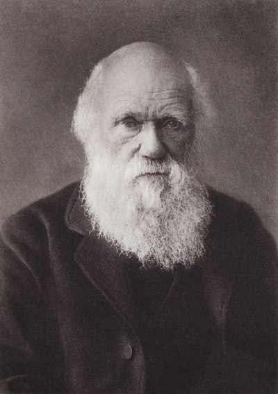 Charles Darwin, retrato, c. 1880 de English Photographer