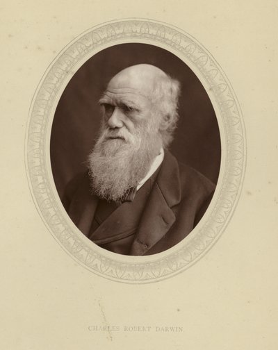 Charles Robert Darwin de English Photographer
