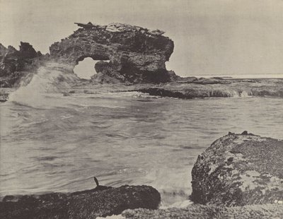 Escena Costera, Bridgewater de English Photographer