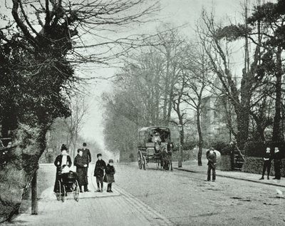 Crouch End Hill, Crouch End, 1894 de English Photographer