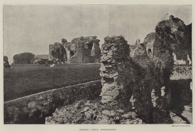 Castillo de Denbigh, Denbighshire de English Photographer